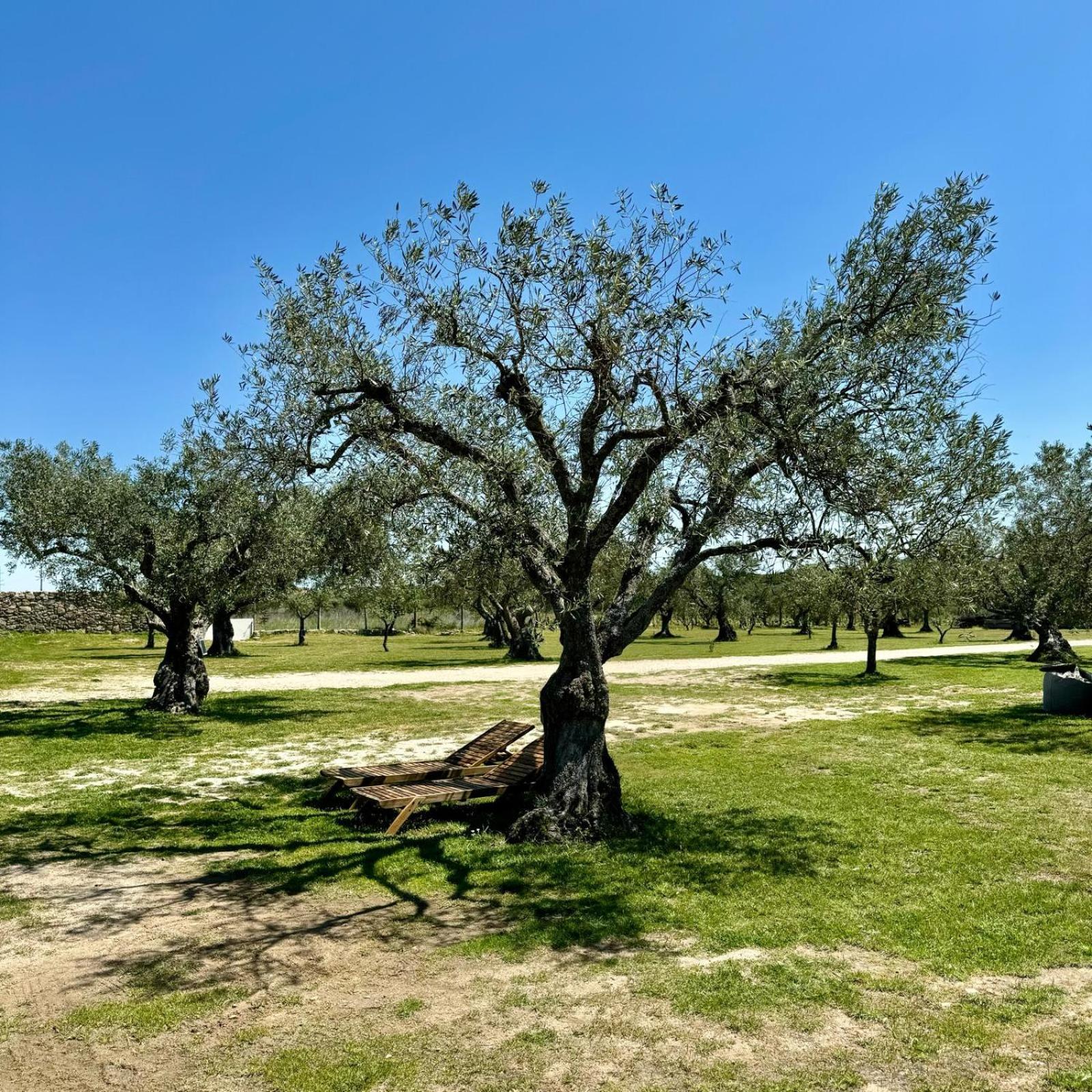 הוילה מריאלבה Quinta Do Nobre מראה חיצוני תמונה